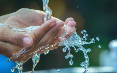 Agua e Hidratación. Su importancia en tu salud